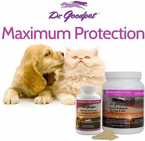 Dr. Goodpet Maximum Protection Vitamins and Minerals Healthy Skin， Coat and Bones Dog and Cat Supplement， 8-oz jar