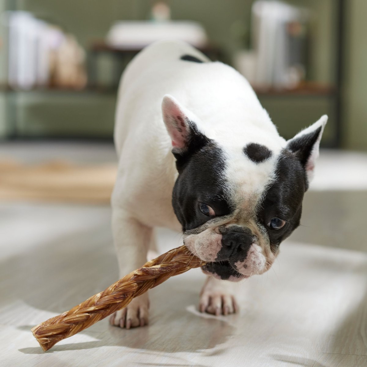 Redbarn Braided Beef Esophagus Stick Large Dog Treat