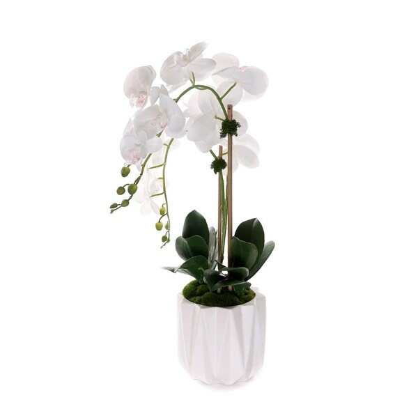 Real Touch Phalaenopsis Orchids in White Dimensional Pot