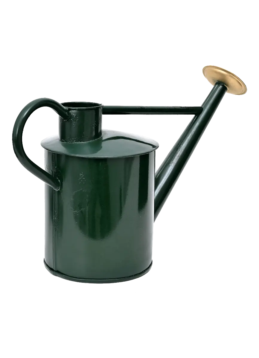 Decorative Common Design Forest Green Metal Watering Can Indoor Outdoor Pot for Home Gardening Plants Watering Circle in Shape