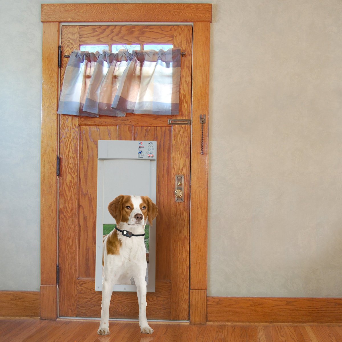 High Tech Pet Products PX-1 Power Pet Fully Automatic Pet Door