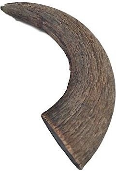 Top Dog Chews Natural Water Buffalo Horns Dog Treats