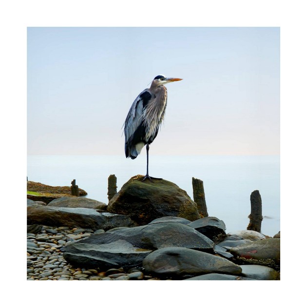 X 24 quot James Mcloughlin x27 beachscape Heron I x27 Unframed Wall Canvas Trademark Fine Art