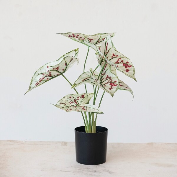 Faux Elephant Ear Plant in Plastic Pot