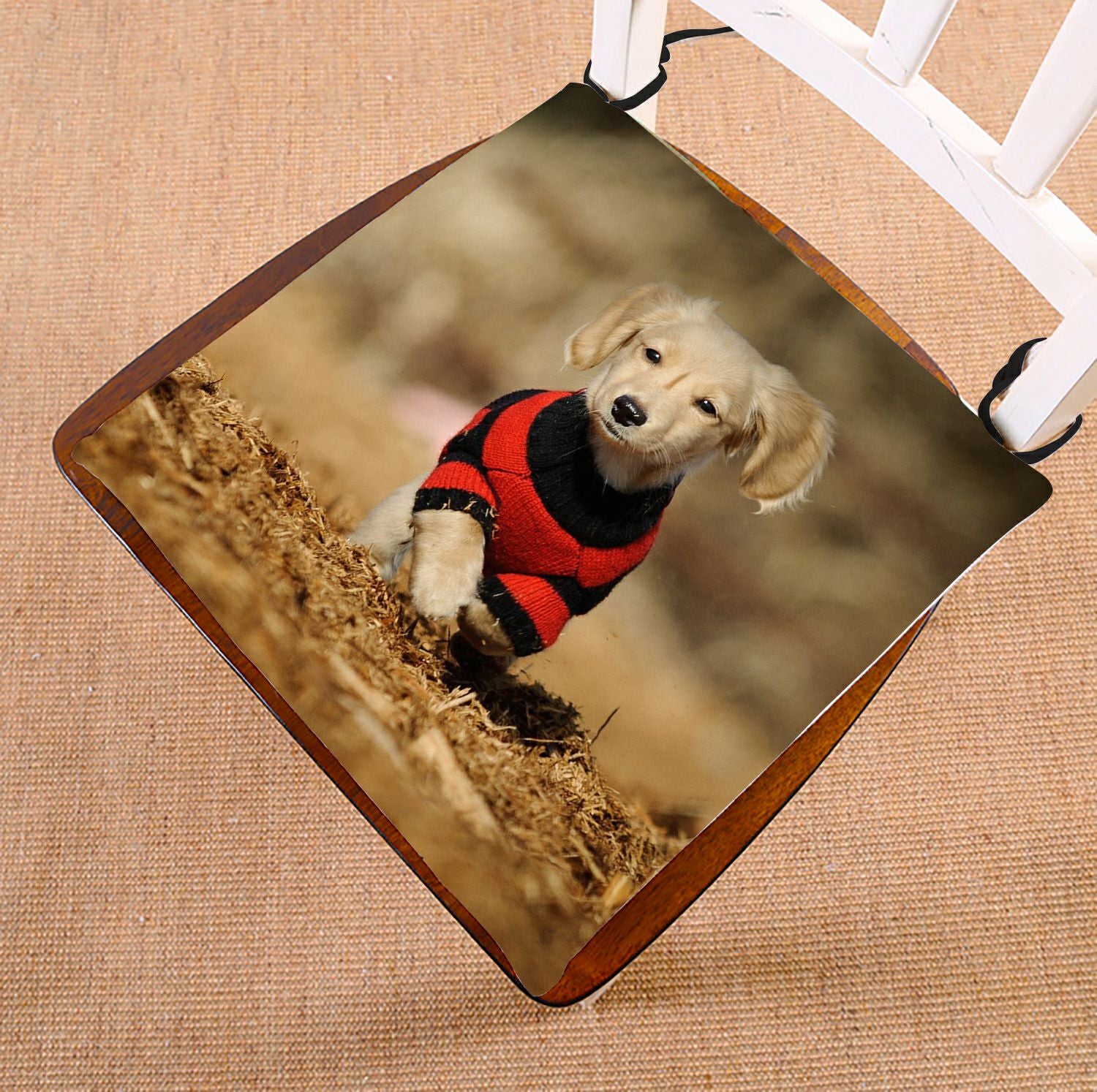 ZKGK Dachshund Seat Pad Seat Cushion Chair Cushion Floor Cushion Two Sides 16x16 Inches