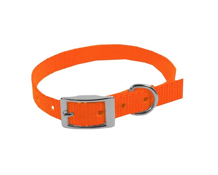 Scott Pet Single Ply Collar - 1413HO08