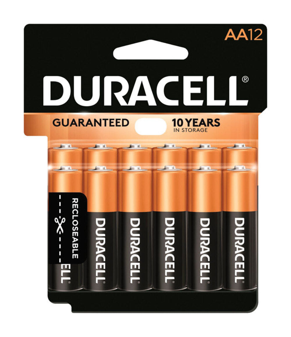 BATTERY ALKALINE AA 12PK