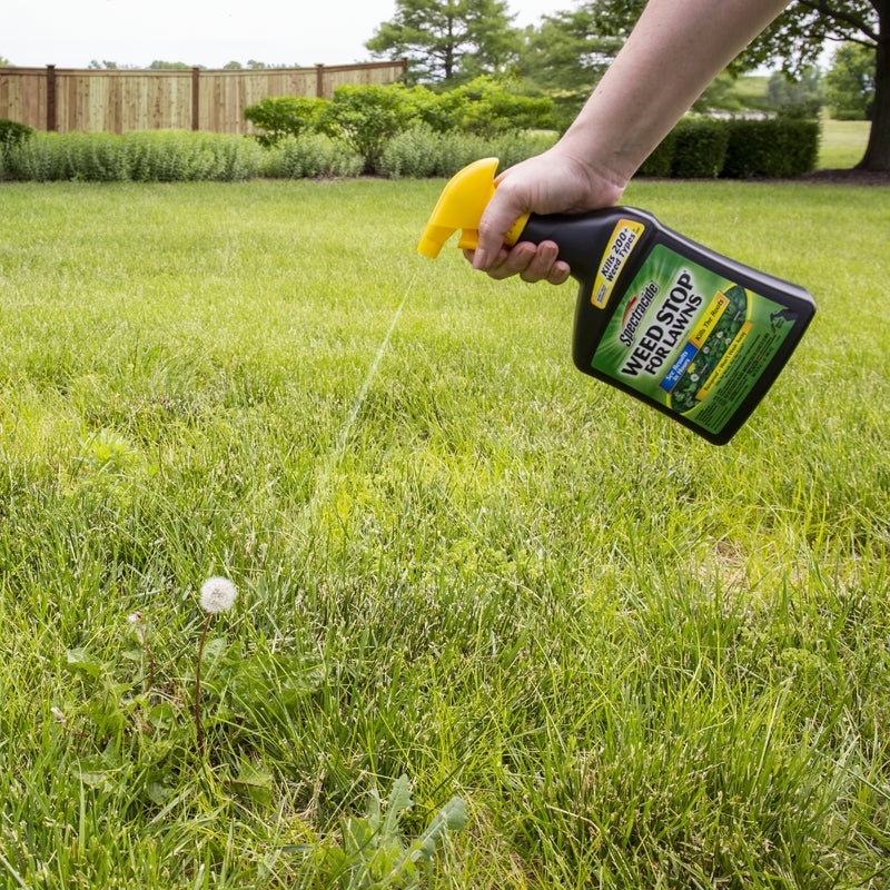 WEEDSTOP LAWN 32OZ RTU