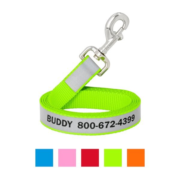 Frisco Solid Polyester Personalized Reflective Dog Leash