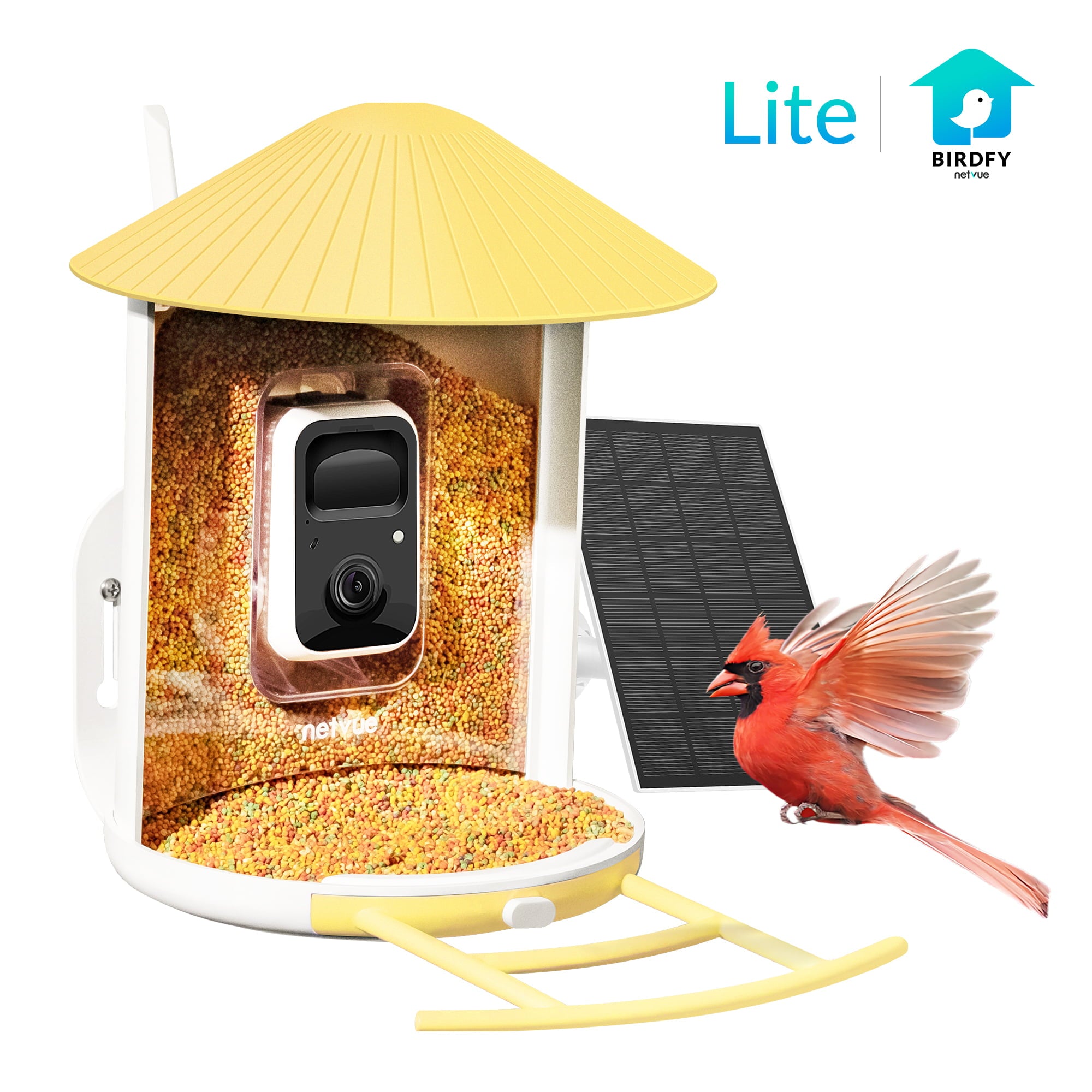 Bird Feeder Camera Outdoor Netvue Birdfy Smart Bird Feeder for Bird Watching， Capture Images/Videos with APP Notification， Bird Gifts for Parents， Hopper Feeder， Yellow(Birdfy Lite + Solar Panel)