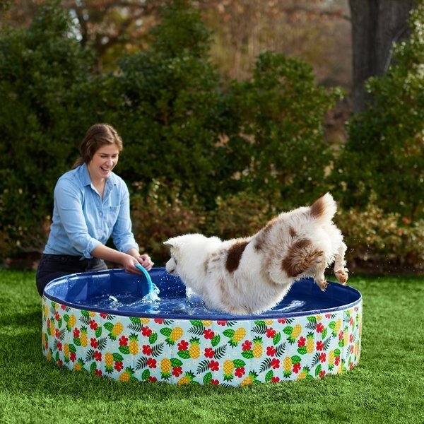 Frisco Outdoor Dog Swimming Pool， Hawaiian Print