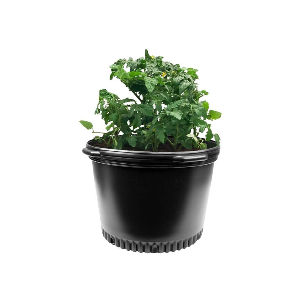 Viagrow 10 Gal. Round Plastic Nursery Pots with Saucers (10-Pack) VHPP1000-10KIT