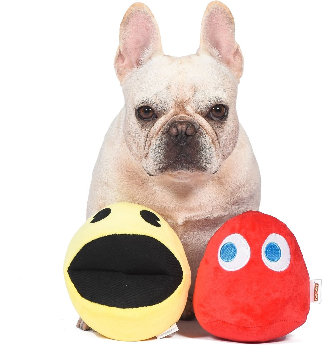 Fetch For Pets Pac-Man Pac-Man and Blinky Plush Squeaky Dog Toy， Small， 2 count