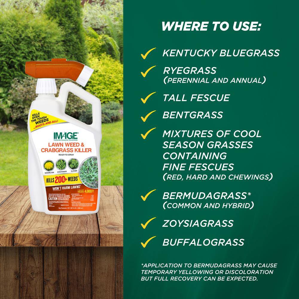 IMAGE 32 oz. Lawn Weed and Crabgrass Killer Ready-To-Spray 100526911