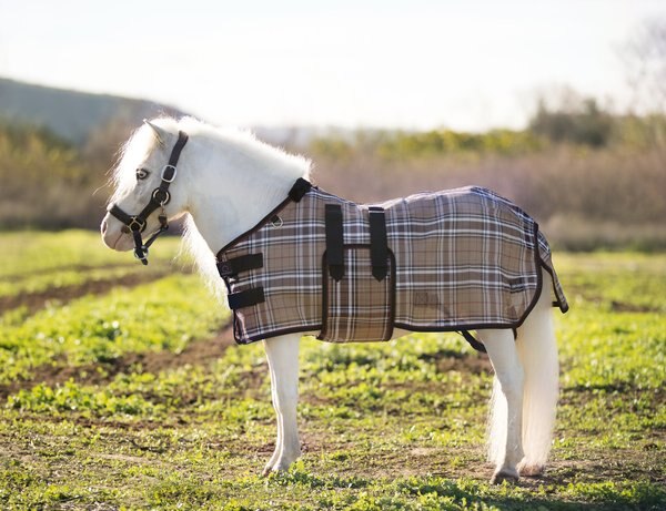 Kensington Protective Products Textilene Protective Mini Horse Fly Sheet