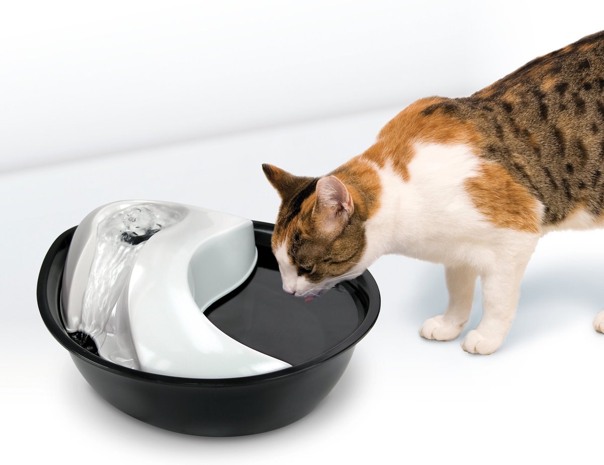 Pioneer Pet Plastic Dog and Cat Fountain Raindrop Design， 60-oz