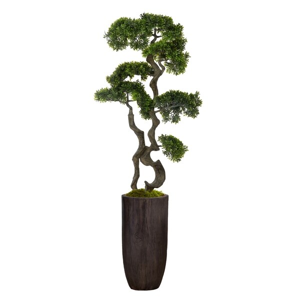 59.25 bonsai tree in Resin Planter