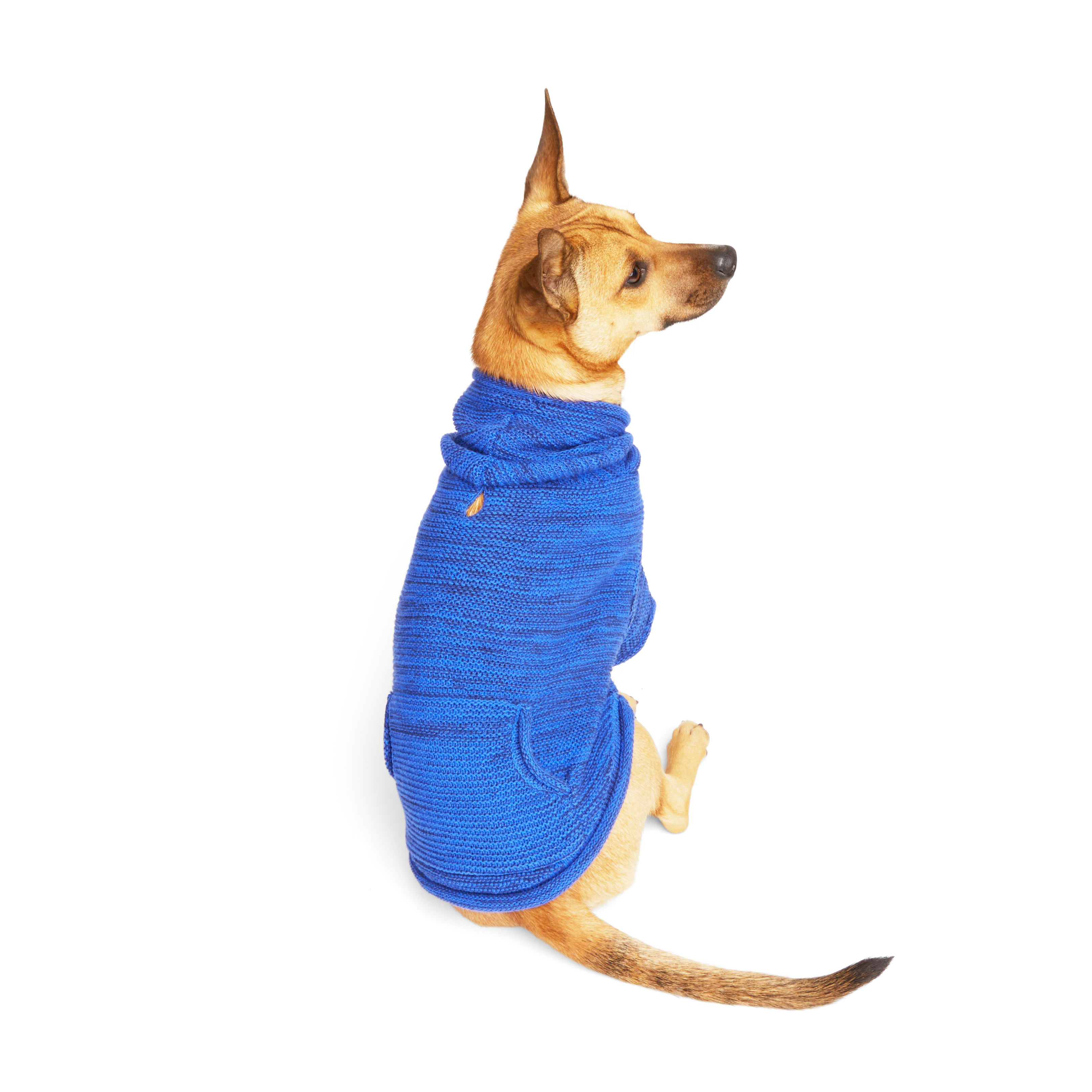 YOULY Blue Sweater Dog Hoodie， XX-Small