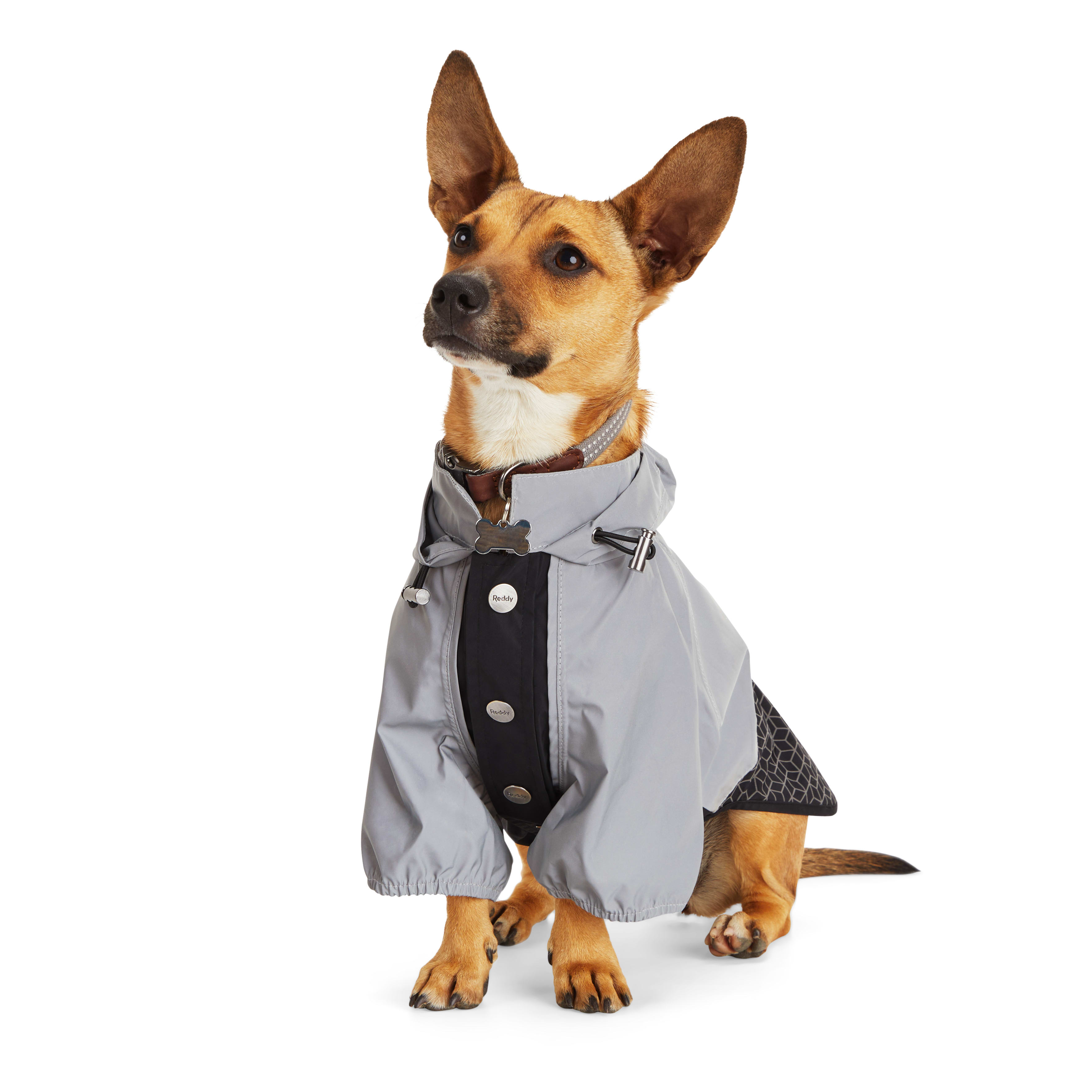 Reddy Print/Black Reflective Dog Jacket， X-Small