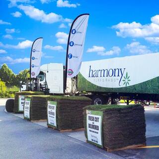 Harmony 500 sq. ft. Zoysia Sod (1-Pallet) HH500Z1