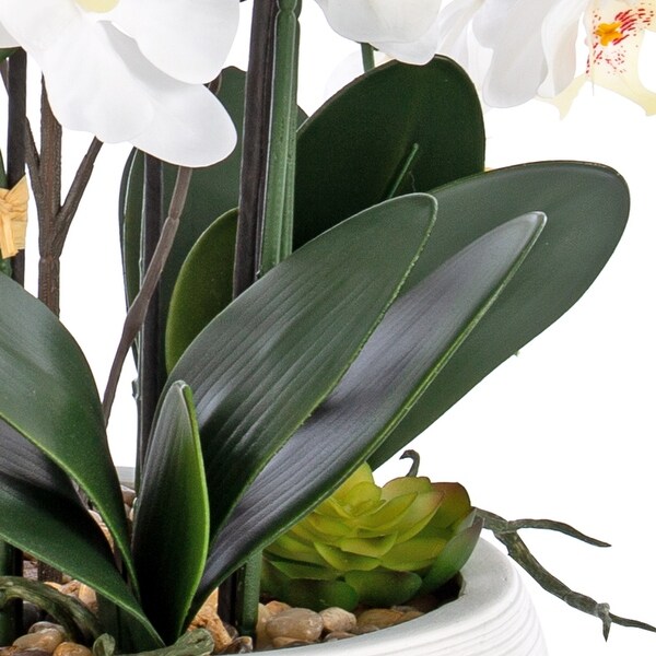 9 Stems Nearly Natural White Phalaenopsis Orchids with Succulents in White Magnesium Oxide Pot