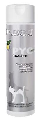 Dermoscent Pyoclean Dog Cat Shampoo ndr 200 ml