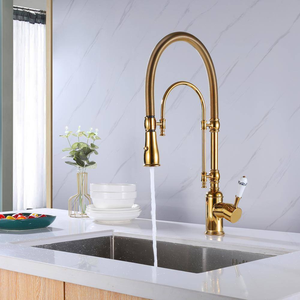 Tomfaucet Single-Handle Pull Down Sprayer Kitchen Faucet with Advanced 2-Setting Spray in Brushed Gold TFB0836BG