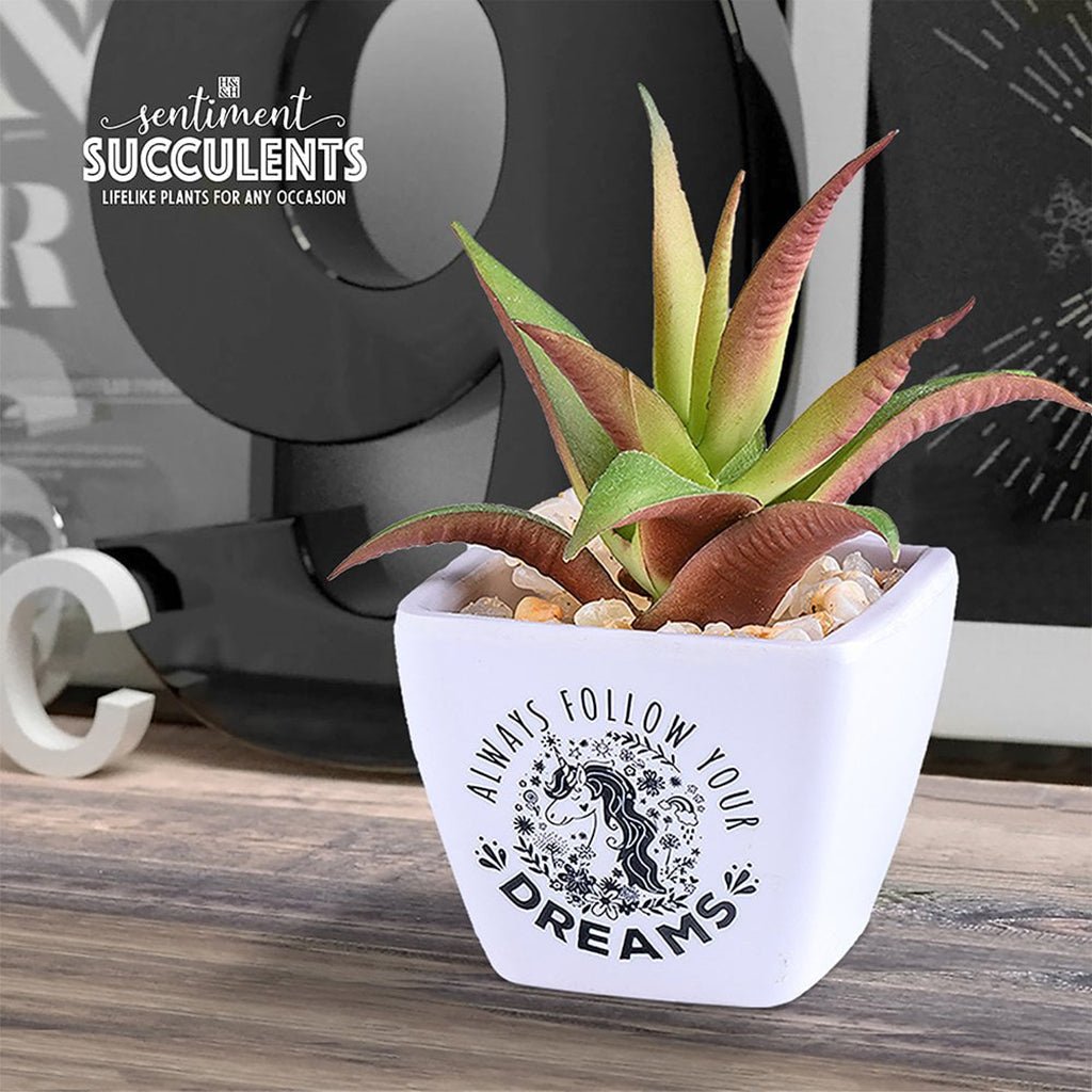 H & H Gifts  Succulent - Unicorn