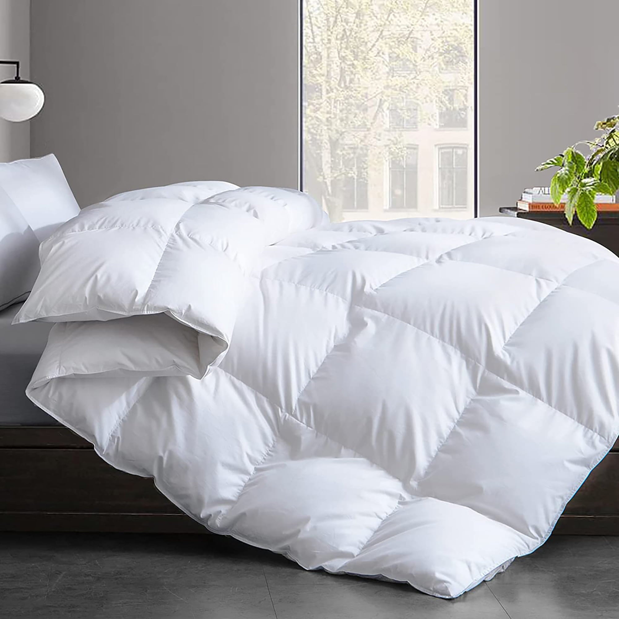 WhatsBedding Down Comforter Feather Duvet Insert Cotton White Goose Duck Down Comforter All Season Summer Solid， Queen