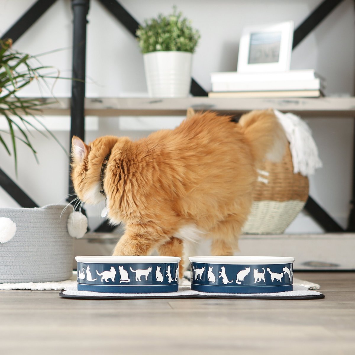 Bone Dry Meow Set Cat Bowl