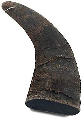 Top Dog Chews Natural Water Buffalo Horns Dog Treats