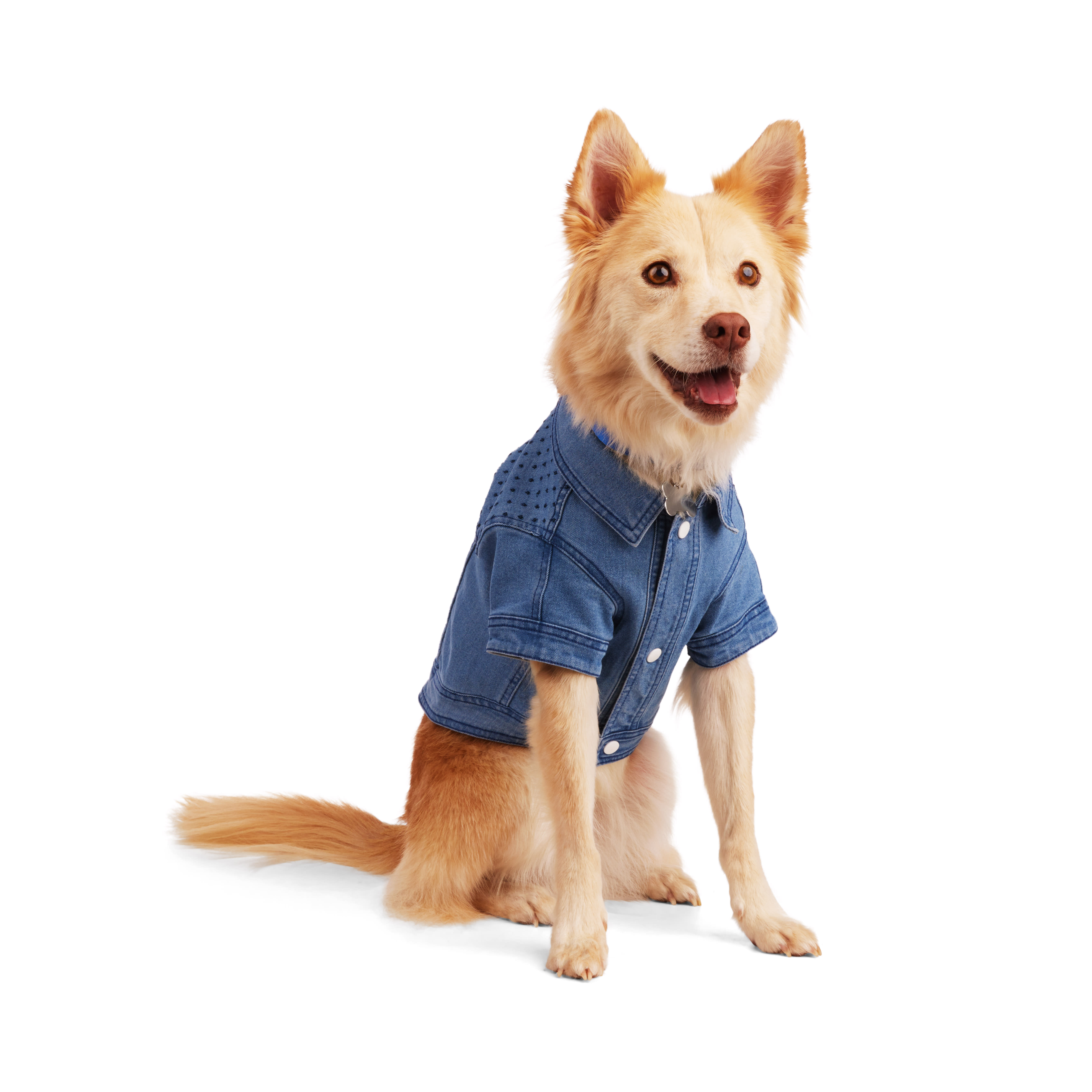 YOULY Blue Denim Jacket for Dogs， XX-Small