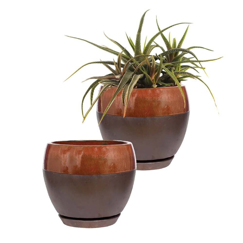 Southern Patio Kendall Egg Planter