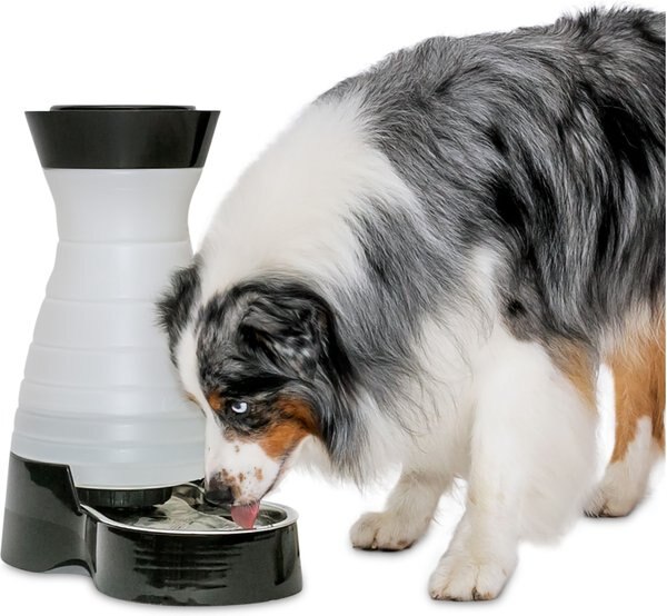 PetSafe Healthy Gravity Refill Dog and Cat Waterer