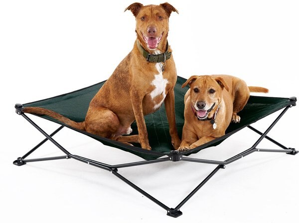 Coolaroo On The Go Elevated Cat and Dog Bed with Removable Cover