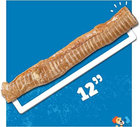 Jack and Pup Beef Trachea 12-in Dog Treats， 3 count