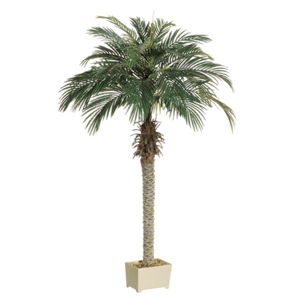 Set of 2 Potted Artificial Silk Phoenix Palm Trees 6'