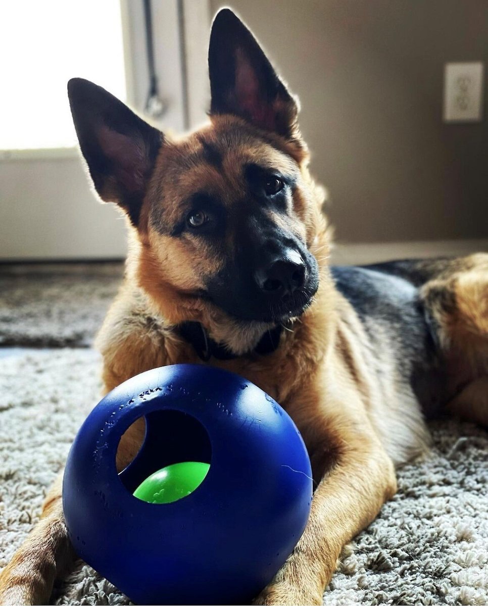 Jolly Pets Teaser Ball Dog Toy， Blue