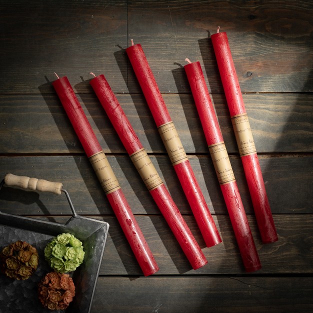 Cranberry Timber Tapers Set Of 12