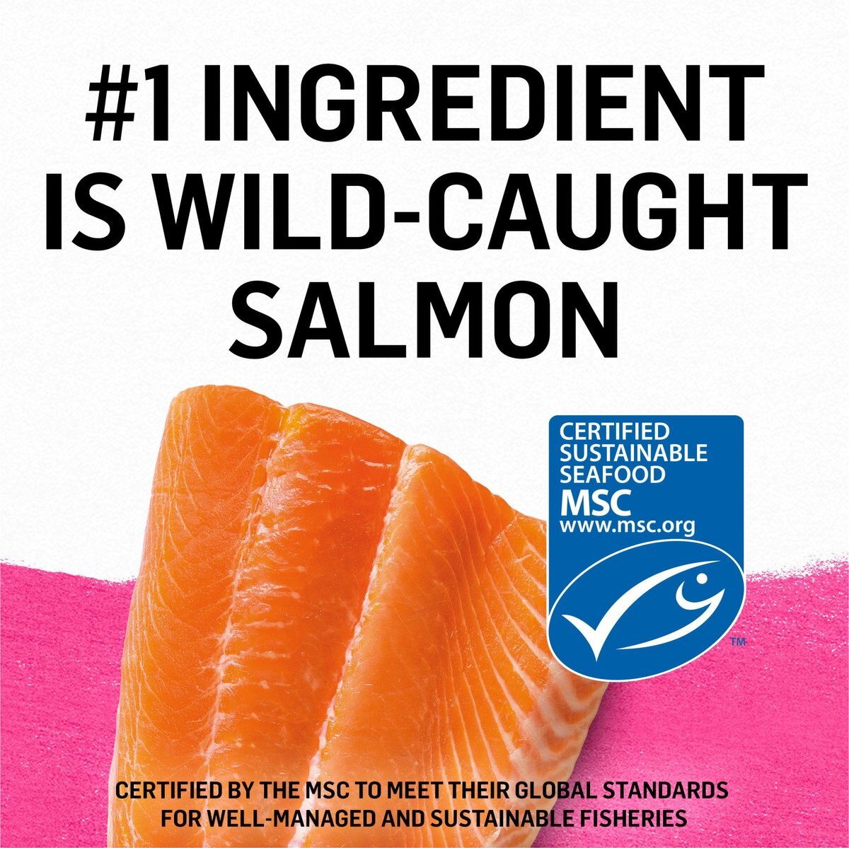 Purina Beyond Grain-Free Wild Salmon Pate Recipe Canned Cat Food