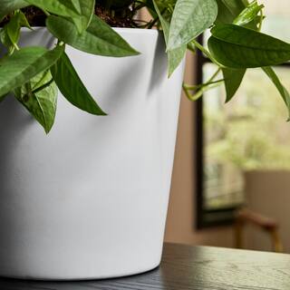 Vigoro 7.7 in. Ivorie Small White Ceramic Flare Planter (7.7 in. D x 7.1 in. H) 521528