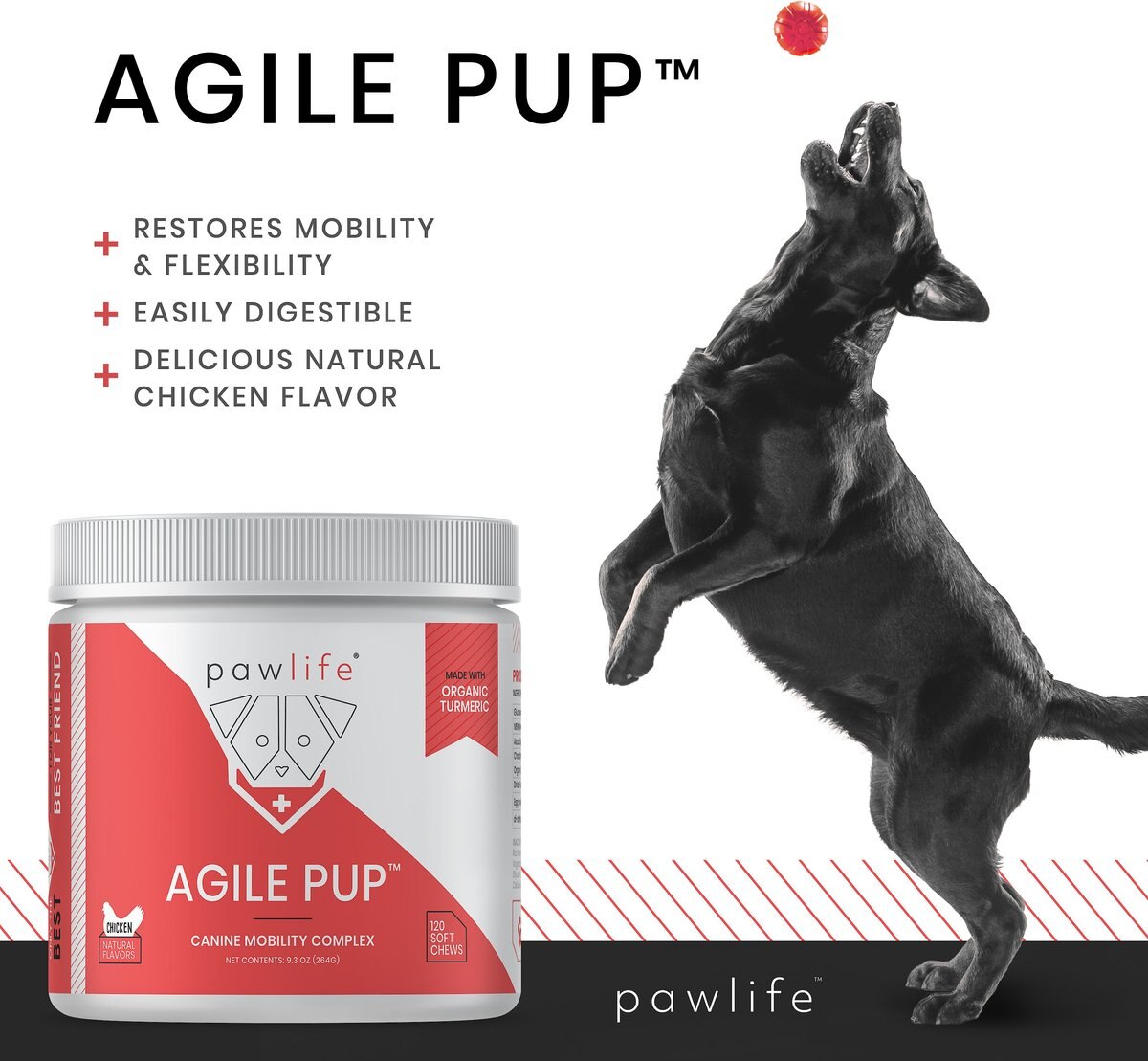 Pawlife Agile Pup Canine Mobility Complex Chicken Flavor Soft Chews Dog Supplement， 120 count