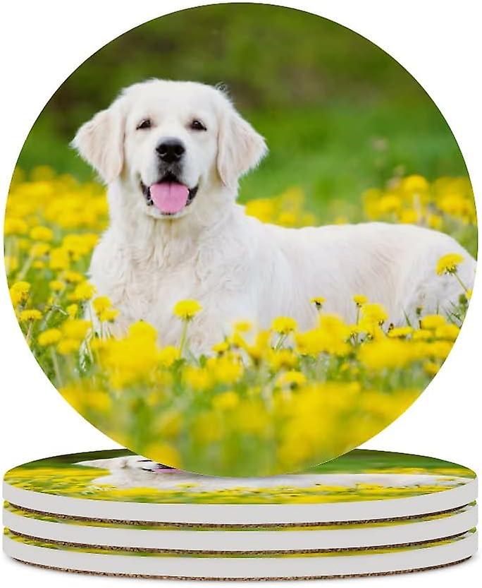 6pcs Round Beautiful Golden Retriever Dog Lying Outdoors Ceramic Coasters With Cork-backed For Coffee Drink Cup Mat Absorbent Stone Coasters