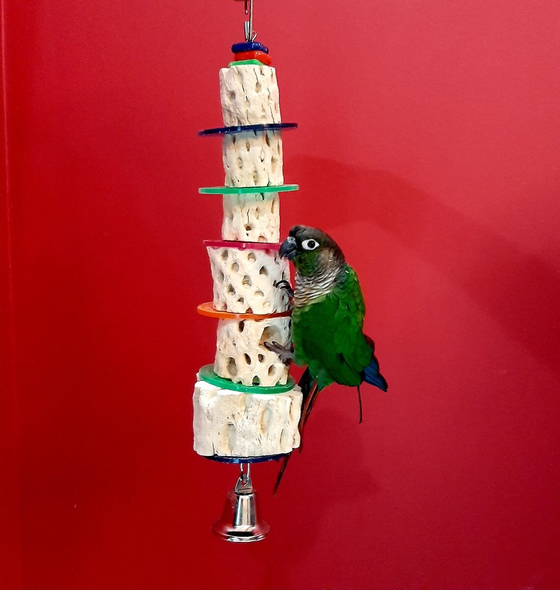 Polly's Pet Products Cactus Tower Bird Toy