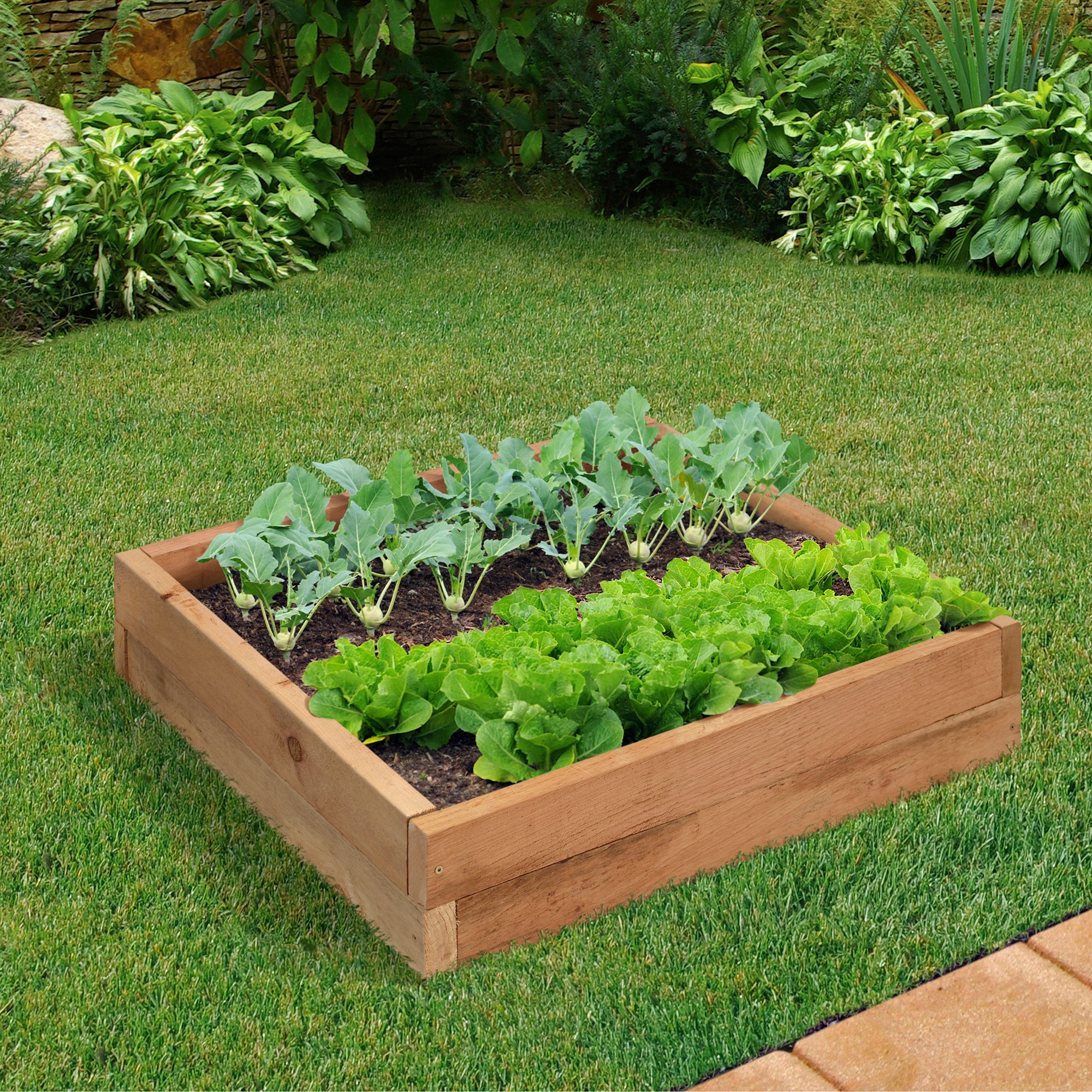 Outdoor Essentials Homestead 3 ft. x 3 ft. Natural Cedar Raised Garden Bed