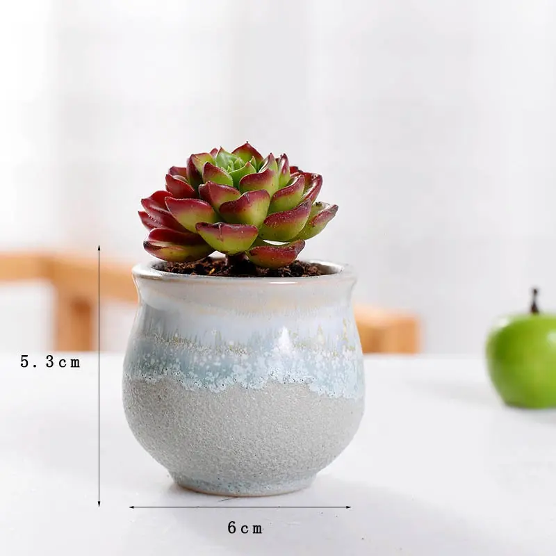 Multi Colors Creative Tabletop Decor Macetas Succulent Plants Garden Paintable Ceramic Balcony Gardening Bonsai Small Flower Pot