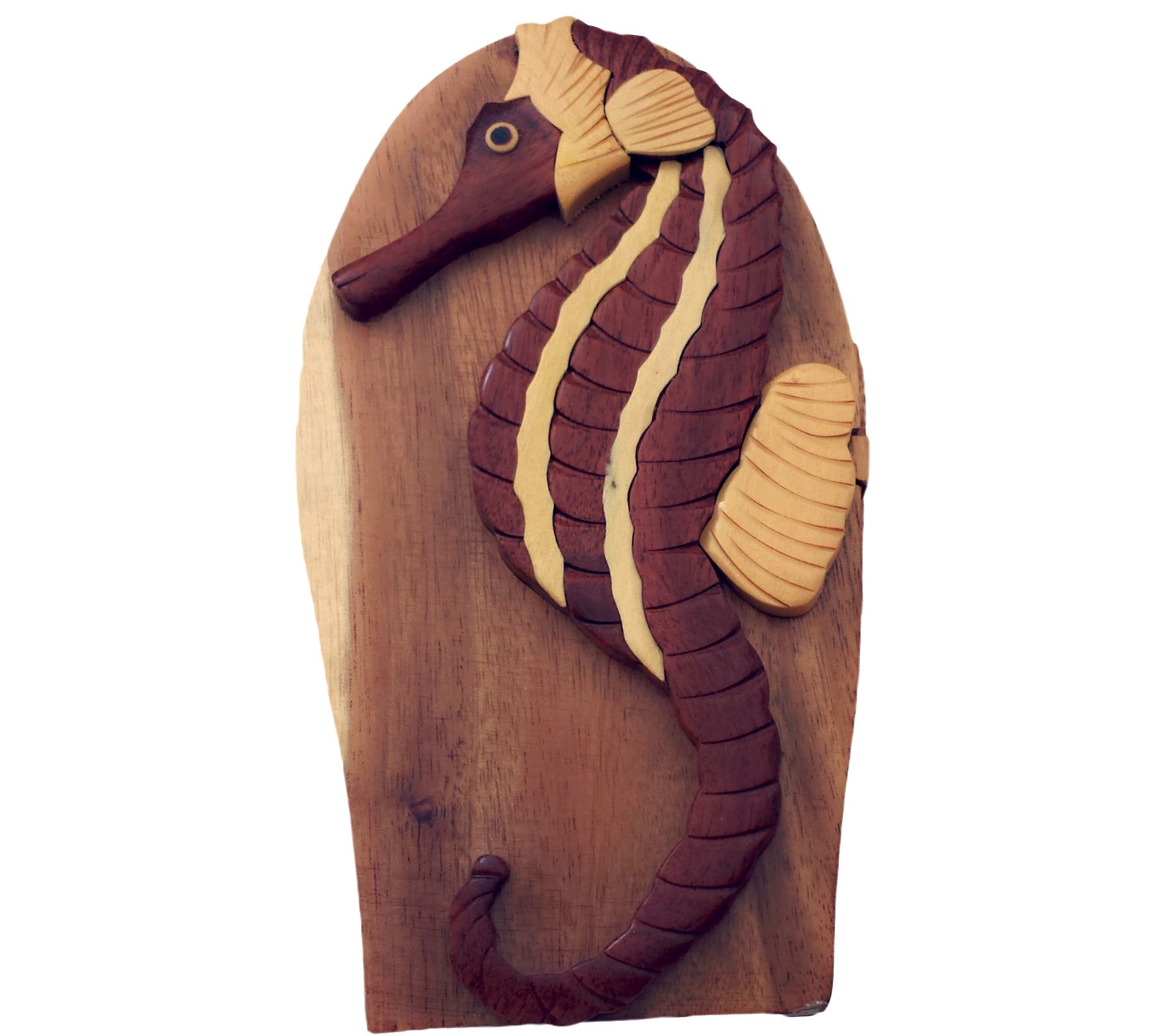 Carver Dan's Sea Horse Puzzle Box with Magnet Closures