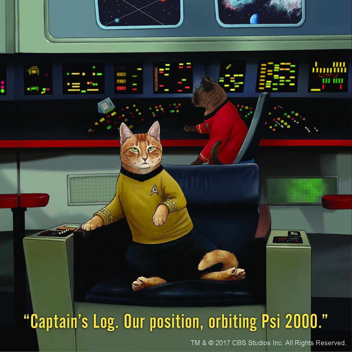 Star Trek Cats