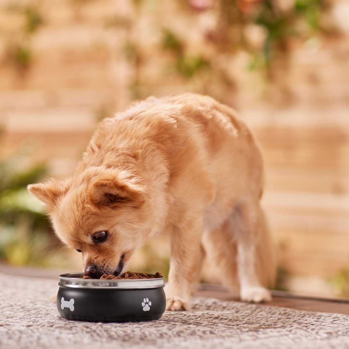 Frisco Travel Non-skid Stainless Steel Dog and Cat Bowl