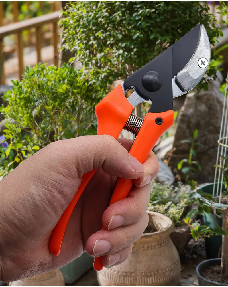 Pruning Scissors Sturdy Fruit Tree Bonsai Gardening Pruning Shear Garden Scissors Pruner Tool Curved Blade Garden Pruning Shears